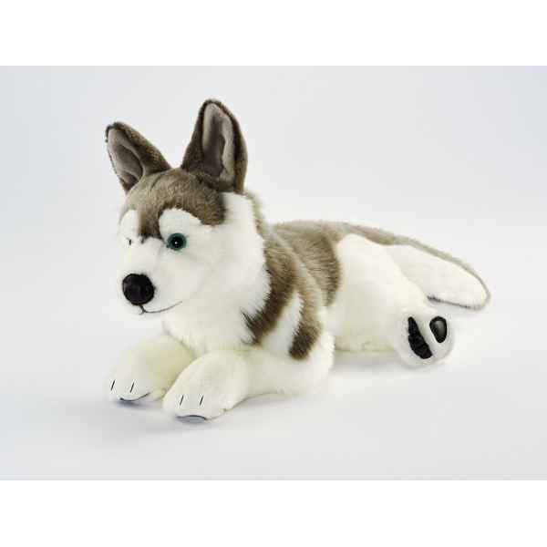 Anima - Peluche husky 42 cm -1646