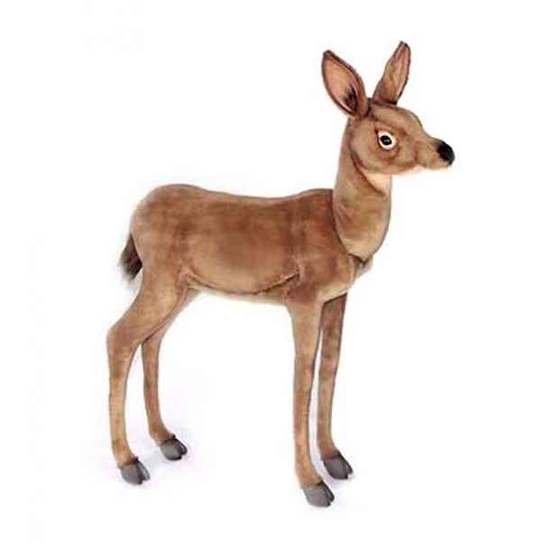 Biche 75cml Anima -6851