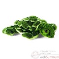 Video Anima - Peluche tortue 18 cm -3918