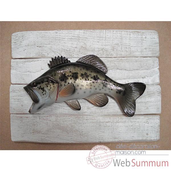 Cadre poisson d\\\'eau douce Cap Vert Black bass -CADR11