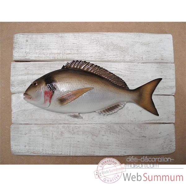 Cadre poisson de mer Cap Vert Dorade royale -CADR03