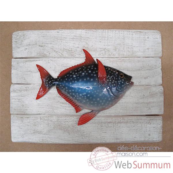 Cadre poisson des tropiques Cap Vert Opah -CADR38