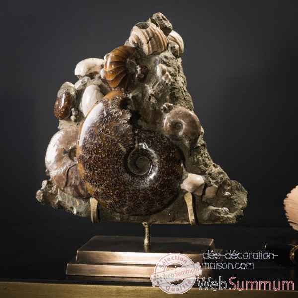 Bloc d'ammonites de l'albien - 3-4kg Objet de Curiosite -PUFO305-2