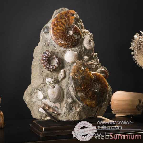 Bloc d\'ammonites de l\'albien - 5-7kg Objet de Curiosite -PUFO307-2