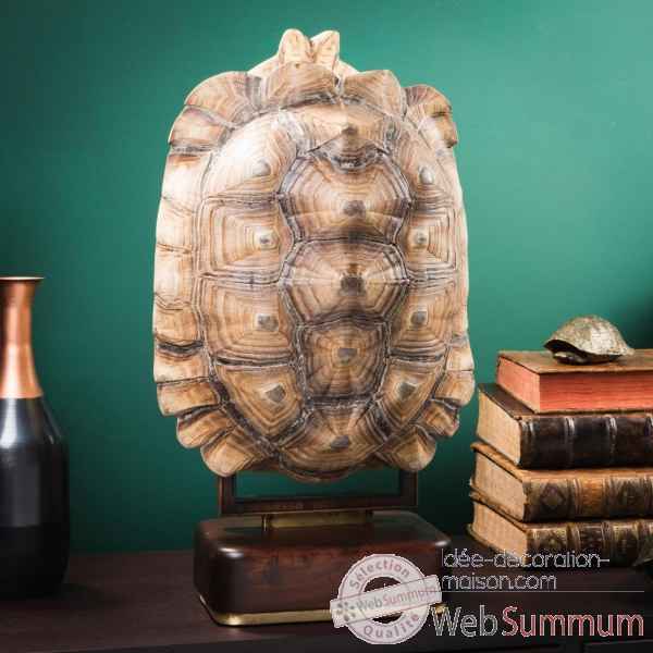 Carapace de tortue sulcata sur socle precieux Objet de Curiosite -PU627