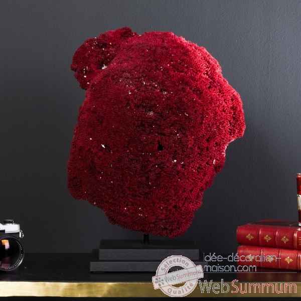Corail rouge tubipora musica env 40cm Objet de Curiosite -CO295-6
