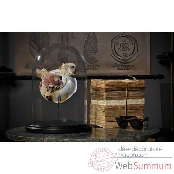 Dechet de la mer sous globe rond pm Objet de Curiosite -PU497-3