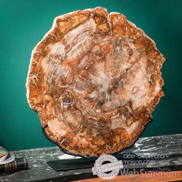 Tranche de bois fossile rouge Objet de Curiosite -PUFO303-2