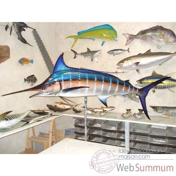 Trophee poisson des mers tropicales Cap Vert Marlin bleu -TRDF59