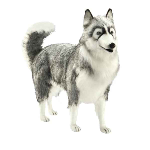 Anima - Peluche husky gris 70 cm -5047