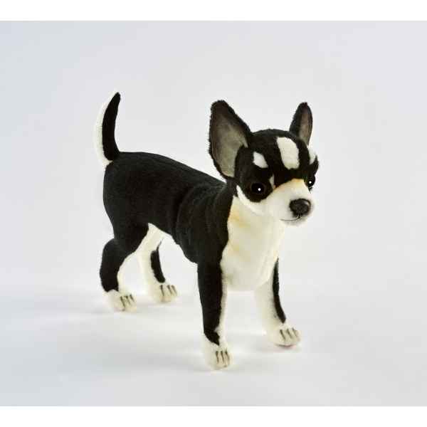 Chihuahua noir 24cmh/25cml Anima -6367