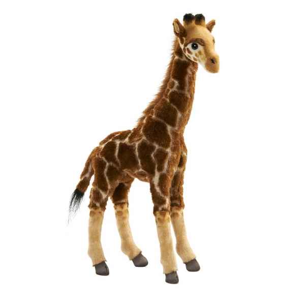 Girafe 50cmh Anima -7810