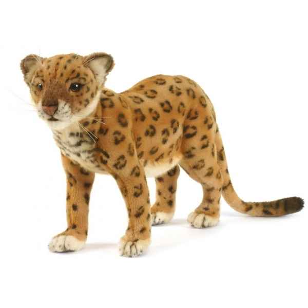 Leopard d\\\'anatolie 28cml Anima -5189