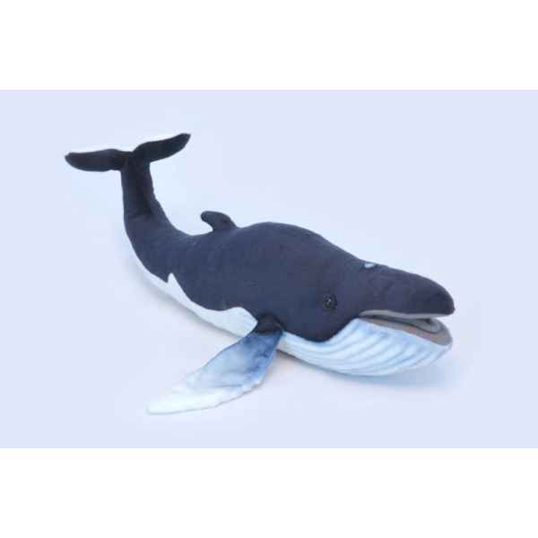 Baleine bleue Anima -6289