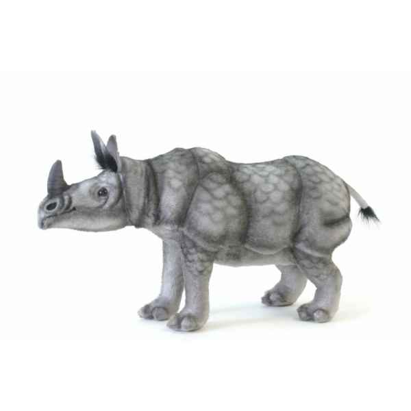Rhinoceros indien Anima -5252