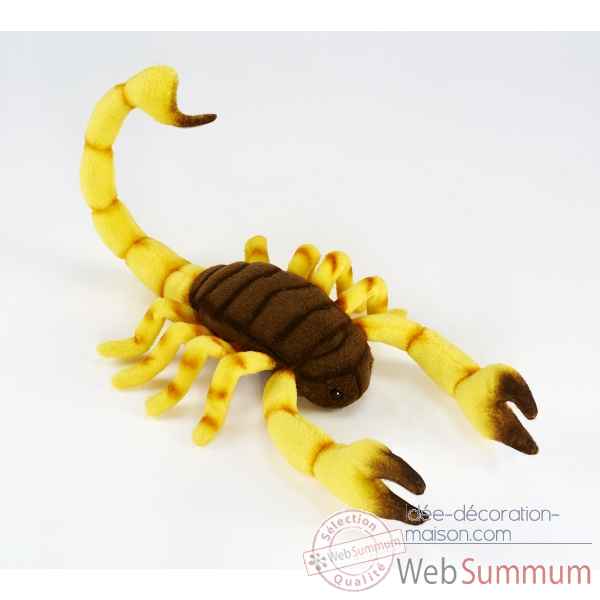Scorpion 37cml Anima -6564