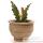 Vases-Modle Lipa Planter,  surface granite-bs3048gry