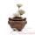 Vases-Modle Vigan Planter Junior, surface bronze avec vert-de-gris-bs3213vb