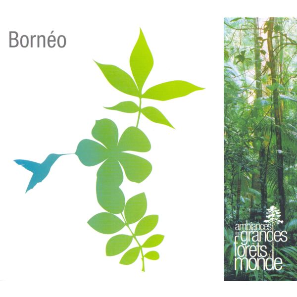 CD Sons Nature Vox Terrae Borneo -vt0183