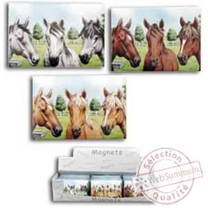 Magnets chevaux 24 ass presentoir 8516274