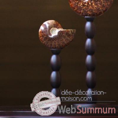 Ammonite opalinisée clioniceras Objet de Curiosité -FO007