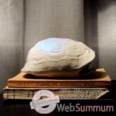 Carapace de tortue en ceramique Objet de Curiosite -AN014