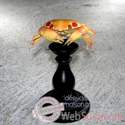 Crabe  pois Objet de Curiosit -AN063