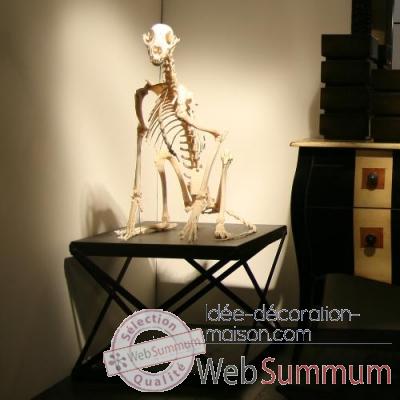 Squelette de guépard sur sellette industrielle Objet de Curiosité -PU284