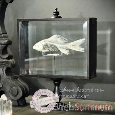 Squelette de poisson Objet de Curiosite -AN132