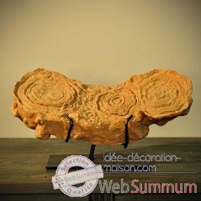 Stromatolithe Objet de Curiosite -PUFO120