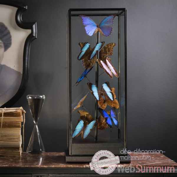 11 papillons morpho bleus Objet de Curiosite -IN100