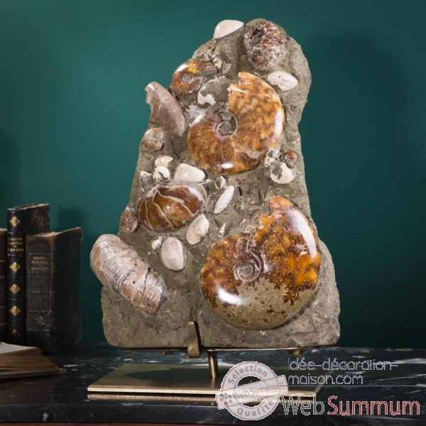 Bloc d\'ammonites de l\'albien - madagascar Objet de Curiosit -PUFO301
