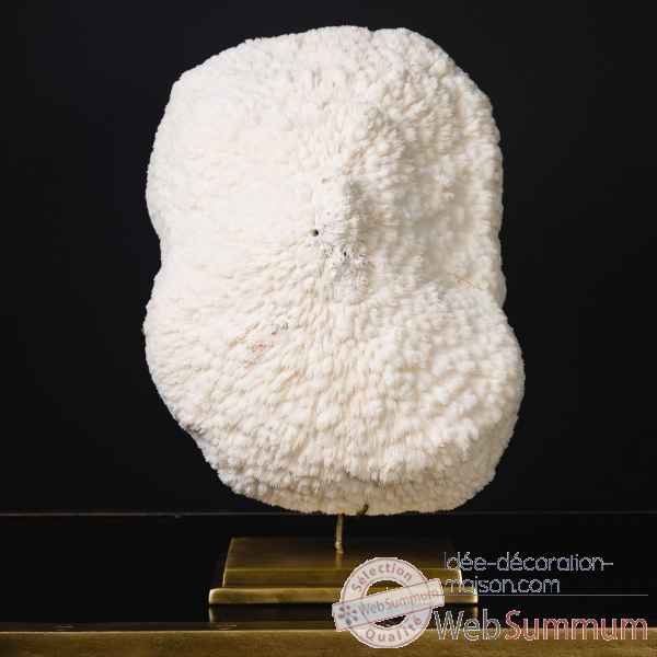 Corail blanc bowl gm Objet de Curiosit -CO351-5