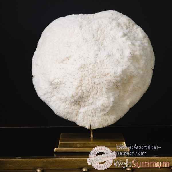 Corail blanc bowl gm Objet de Curiosit -CO351-6