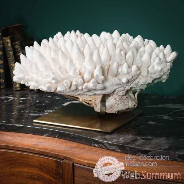 Corail blanc finger Objet de Curiosite -CO346-1