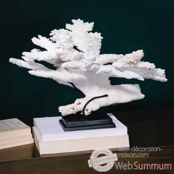 Corail branche blanche (acropora florida) Objet de Curiosite -CO390-2