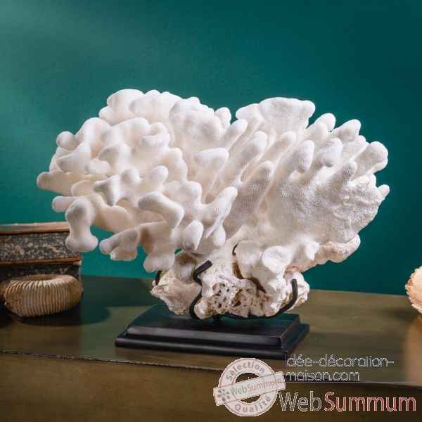 Corail corne de daim boule (elk horn) Objet de Curiosite -CO391-2