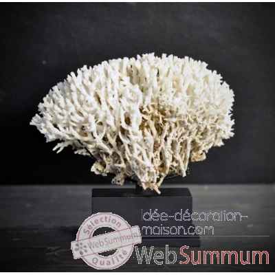 Corail pics nids blanc (birds nest) mini socle rec Objet de Curiosite -CO103-X