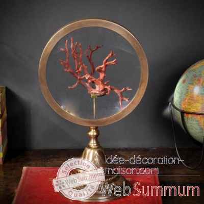 Corail rouge de mediterranee en branche gm Objet de Curiosite -CO145-X