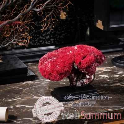 Corail rouge mm Objet de Curiosite -CO318-X
