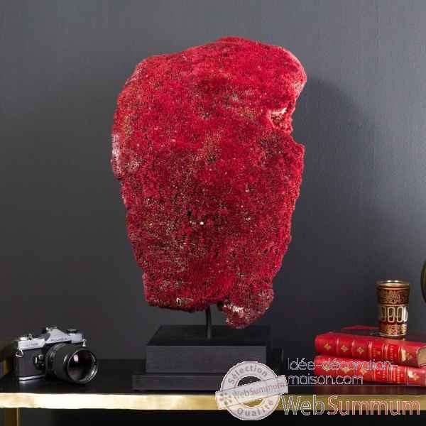 Corail rouge tubipora musica Objet de Curiosite -CO320-9