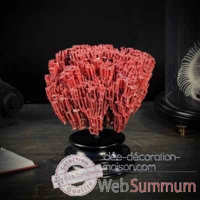 Corail rouge tubipora socle rond Objet de Curiosite -CO238-X