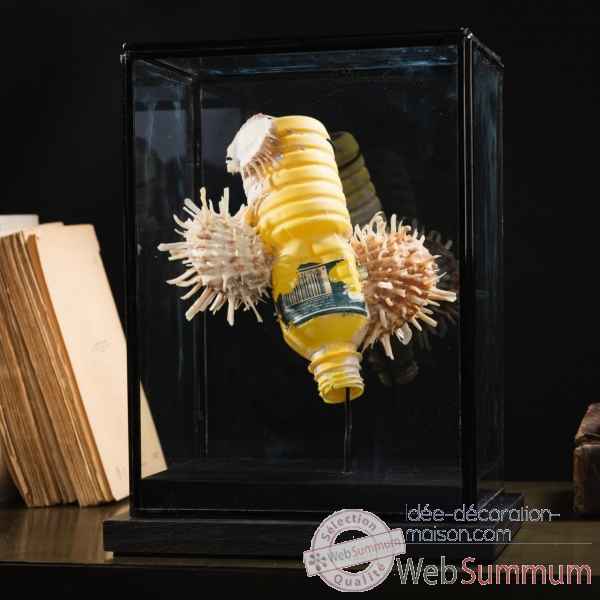 Dechet de la mer sous aquarium Objet de Curiosite -PU499-14