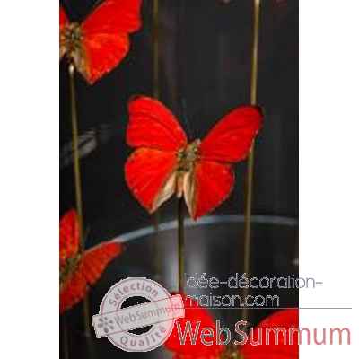Globe de 11 papillons rouges Objet de Curiosit -IN077
