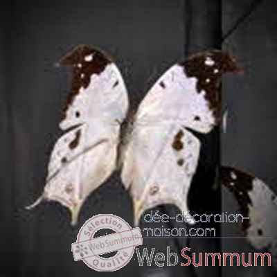 Globe de 9 papillons noirs et blancs Objet de Curiosite -IN054