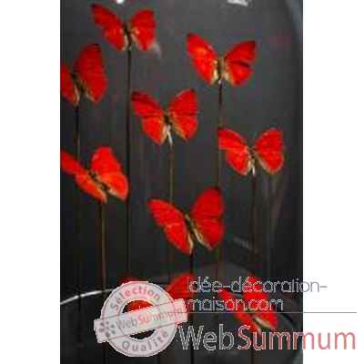 Globe de 9 papillons rouges Objet de Curiosite -IN077BIS