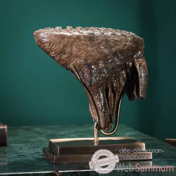 Molaire de mammouth 1.4kg - socle laiton Objet de Curiosite -PUFO292