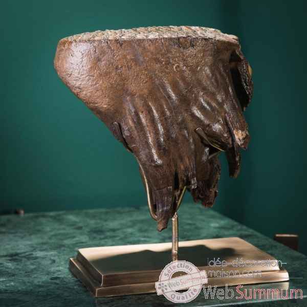 Molaire de mammouth pm - socle laiton Objet de Curiosite -PUFO243-2