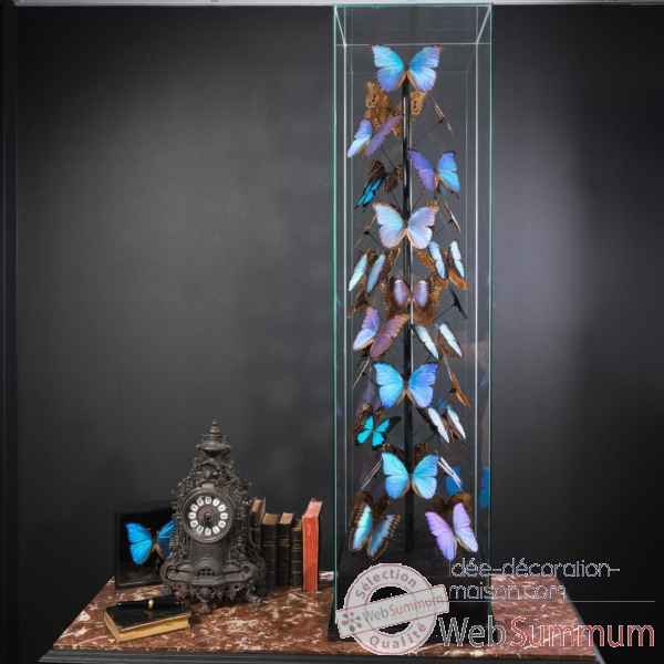 Papillons bleus morphos (40) Objet de Curiosite -IN088