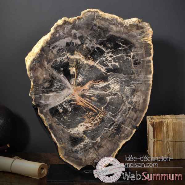 Tranche de bois fossile 50kg - bresil Objet de Curiosite -PUFO268